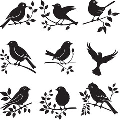 set of birds