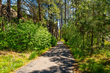 Fototapeta premium The wooded trail through the public Falls Park leading to the historic Treaty Rock a rock wall with a painted written compact between Frederick Post, a settler, and the Native American tribes in 1871.