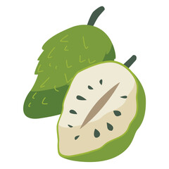 Soursop fruit vector illustration, buah sirsak or sirsat image, nangka belanda or durian belanda clipart, cartoon graviola or guanabana, guyabano or annona muricata isolated
