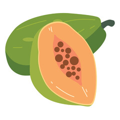 Organic papaya fruit vector illustration, whole and slices, cartoon papaw or paw paw fruits, buah pepaya or carica papaya icon isolated
