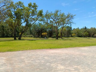 A beautiful and quiet place to enjoy nature and stunning green views