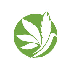 Marijuana bird vector icon logo design template.
