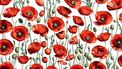 kne pi na maki polu flower meadow nature grass landscape image watercolor illustration artistic dyed paint colourful summer springtime petals field