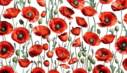 kne pi na maki polu flower meadow nature grass landscape image watercolor illustration artistic dyed paint colourful summer springtime petals field