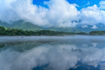 霧に包まれた幻想的な大正池の情景