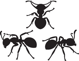 ants