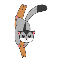 Cute sugar glider illustration