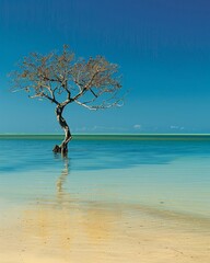 A single tree in shallow beach water makes a striking scene. Its twisted branches and golden leaves contrast sharply with the turquoise ocean and blue sky. The water's smooth surface reflects the tree