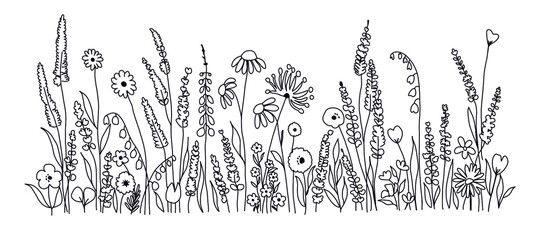 doodle wildflowers