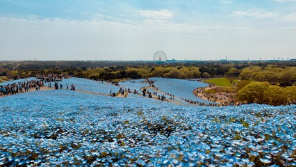 Fototapety na wymiar - Fototapeta24.pl