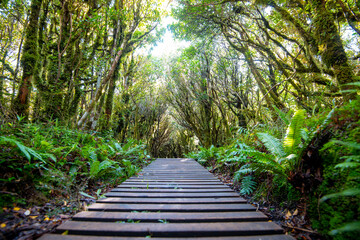 Pouakai Tarns Track - New Zealand