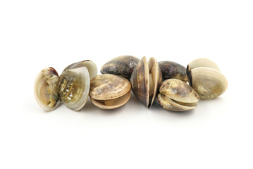 Closed up fresh baby clams, venus shell, shellfish, carpet clams, short necked clams, as raw food...