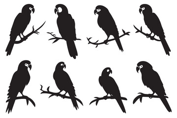 Set of silhouette parrots Vector Illustration