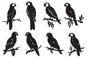 Set of silhouette parrots Vector Illustration