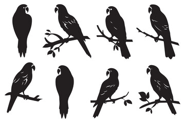 parrot silhouettes Vector Illustration