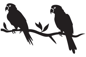 Vector parrot silhouettes of amazon jungle isolated on white background