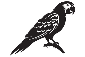 Obraz premium Vector parrot silhouettes of amazon jungle isolated on white background