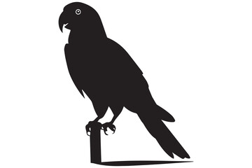 silhouette of Parrot Vector Illustration