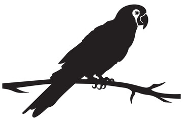 silhouette of Parrot Vector Illustration