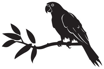 Black silhouette set of parrot on a white background