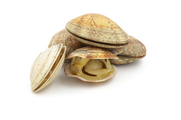 Closed up fresh baby clams, venus shell, shellfish, carpet clams, short necked clams, as raw food from the sea are the seafood ingredients. fresh clams Background.