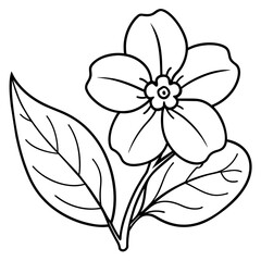 Forget Me Not flower outline coloring book page line art drawing vector illustration for children and adults
