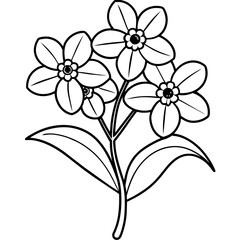 Forget Me Not flower outline coloring book page line art drawing vector illustration for children and adults