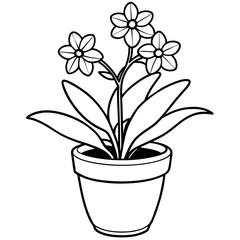 Forget Me Not flower outline coloring book page line art drawing vector illustration for children and adults