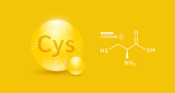 Cysteine amino acid yellow and chemical formula structural. Biomolecules that combine to form proteins nutrients necessary for health muscle. For dietary supplements ads. Medical scientific. Vector.