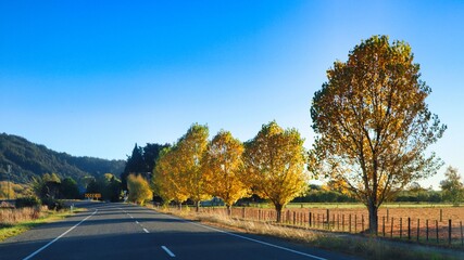 New Zealand