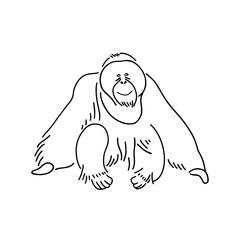 Monochrome Orangutan Outline: Tattoo-Inspired Illustration © Nicole Wu