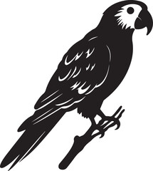 Parrot Silhouette Vector Illustration White Background