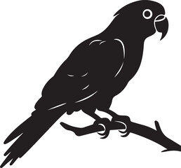 Obraz premium Parrot Silhouette Vector Illustration White Background