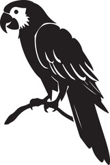 Parrot Silhouette Vector Illustration White Background