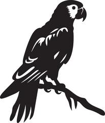 Parrot Silhouette Vector Illustration White Background