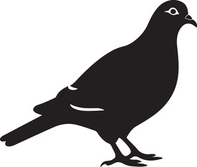 Pigeon Silhouette Vector Illustration White Background