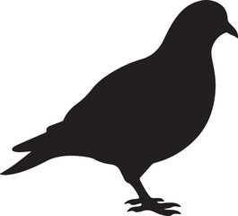Pigeon Silhouette Vector Illustration White Background