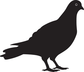 Pigeon Silhouette Vector Illustration White Background