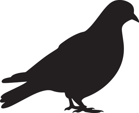 recommend clip art: Pigeon Silhouette Vector Illustration White Background