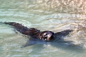 Obraz premium New Zealand