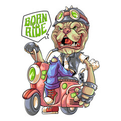 Obraz premium dog on wheelss