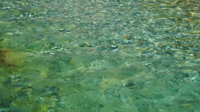 初夏の上高地 梓川の透明感ある流れ