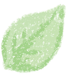 tulip flower element