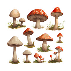 a drawing of mushrooms and grass with a drawing of mushrooms