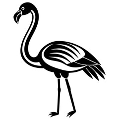 illustration of a flamingo bird vector silhouette