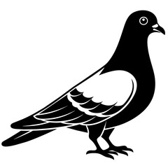 Pigeon vector silhouette illustration art