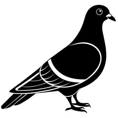 illustration of a pigeon vector