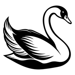 silhouette of a swan