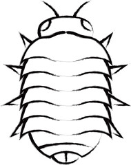 筆書きミニ昆虫イラストアイコン　ダンゴムシ