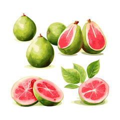 a drawing of a grapefruit with the word melon on it